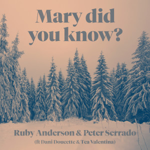 收聽Peter Serrado的Mary Did You Know歌詞歌曲