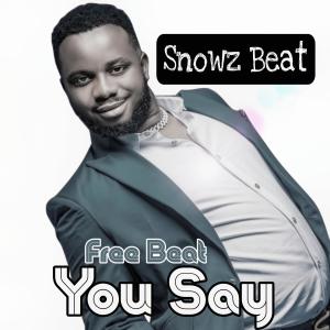 收聽Snowz Beat的You Say Free Beat (Amapiano Beat)歌詞歌曲