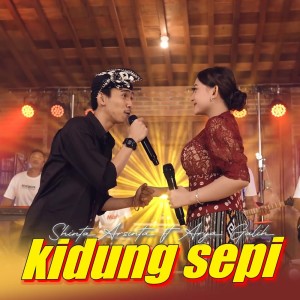 收聽Shinta Arshinta的Kidung Sepi歌詞歌曲