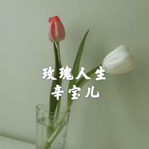 收聽辛寶兒的玫瑰人生歌詞歌曲