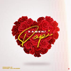 ดาวน์โหลดและฟังเพลง Papi พร้อมเนื้อเพลงจาก Kameni