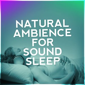 收聽The Natural Healing Project的Streams Flowing歌詞歌曲