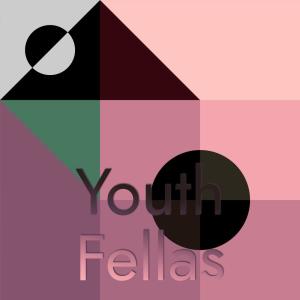 Various的专辑Youth Fellas