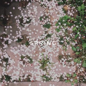 ดาวน์โหลดและฟังเพลง Spring พร้อมเนื้อเพลงจาก 祝涵