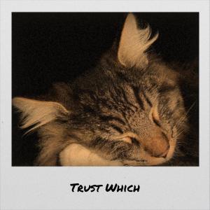 ดาวน์โหลดและฟังเพลง During Tenet พร้อมเนื้อเพลงจาก Jaca Poler