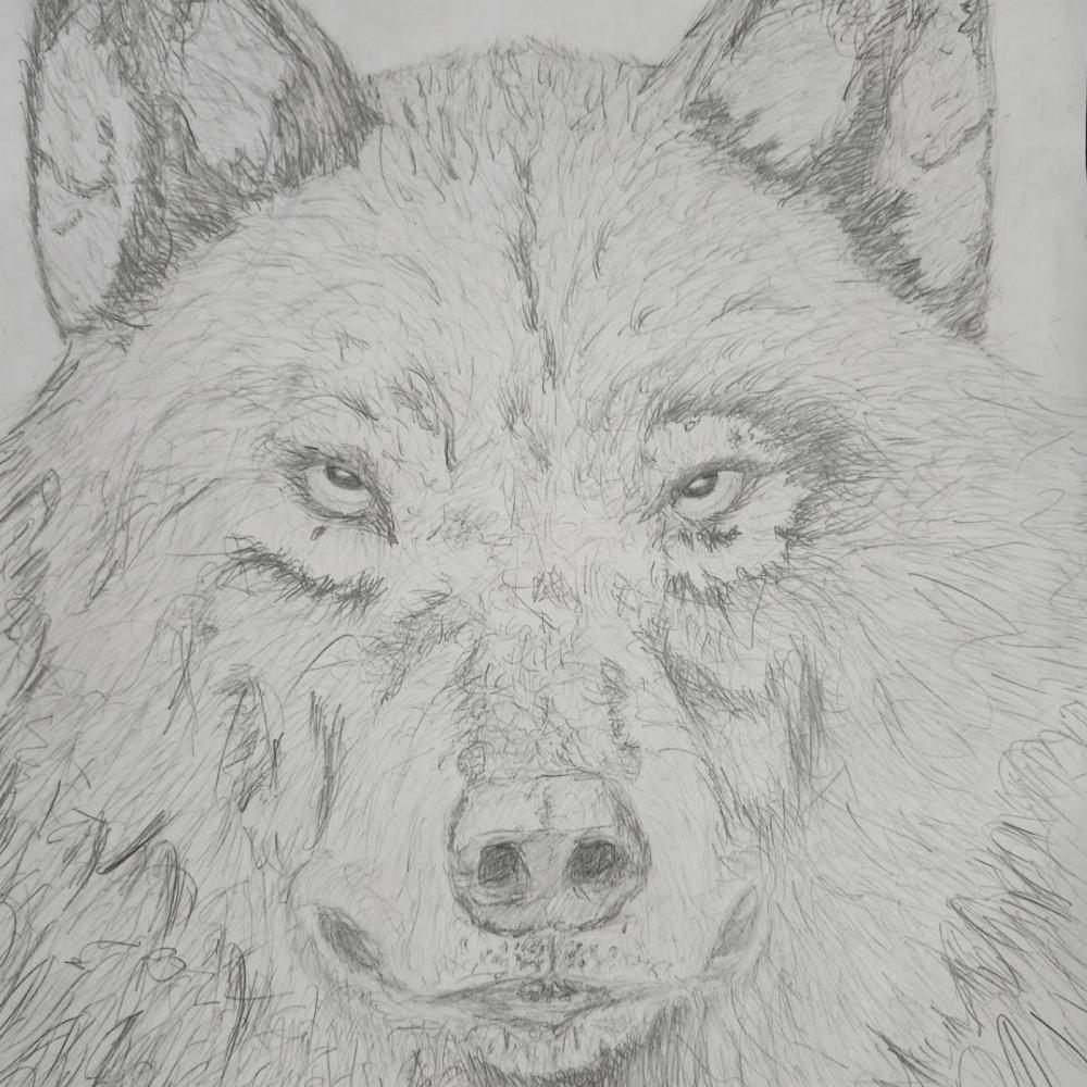 Lone Wolf