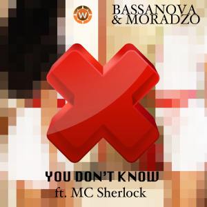 收听Bassanova的You Don't Know歌词歌曲