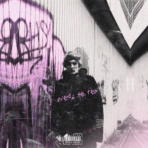Album Zvedá Se Tep (Explicit) from Reez