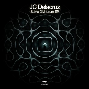 JC Delacruz的专辑Salvia Divinorum (Radio Edit)