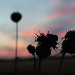 Listen to Make Me Smile song with lyrics from Johanna Söderström
