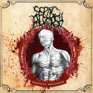 ดาวน์โหลดและฟังเพลง Post-Mortem Damage by Predators in Environmental Conditions (Explicit) พร้อมเนื้อเพลงจาก Septic Autopsy