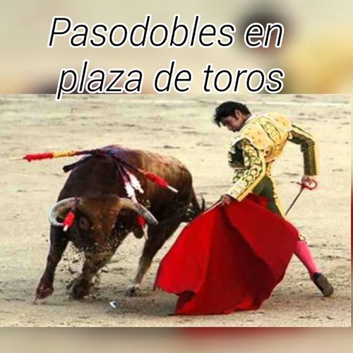 Con Divisa Verde y Oro
