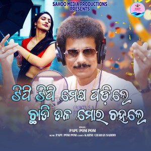 Listen to Tipi Tipi Megha Padile Chhati Tala Mora song with lyrics from Papu Pom Pom