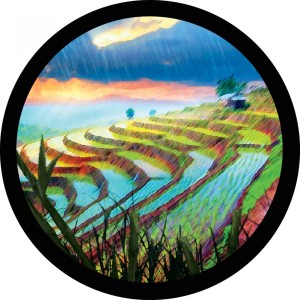 收聽Universo的Budokan歌詞歌曲