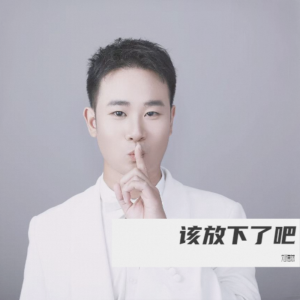 Album 该放下了吧 from 刘德斌