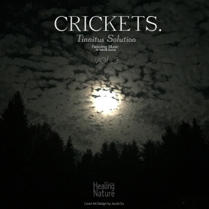Dengarkan Sublime Cricket Sound lagu dari 힐링 네이쳐 Nature Sound Band dengan lirik