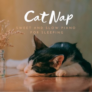 Listen to Sweet and Slower song with lyrics from Piano Cats