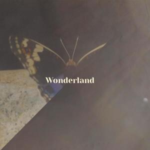 Listen to Hydroxylation Charlie song with lyrics from Wian Calie