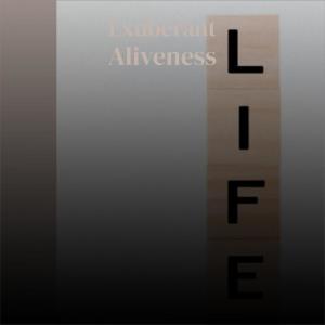 Dengarkan Luminance Noble lagu dari Napor Dith dengan lirik