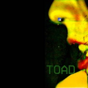 ดาวน์โหลดและฟังเพลง Toad พร้อมเนื้อเพลงจาก Arrows Of Love
