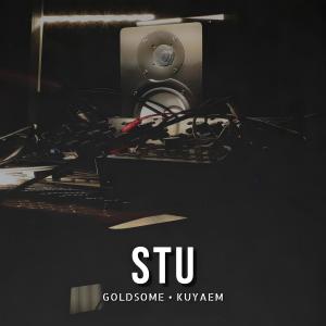 Listen to Stu (feat. Kuyaem) song with lyrics from Goldsome