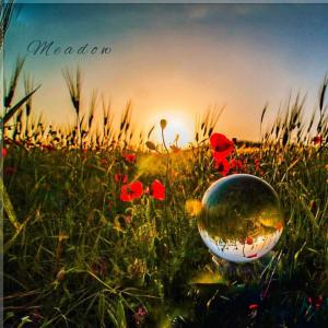 อัลบัม Meadow ศิลปิน Eikona