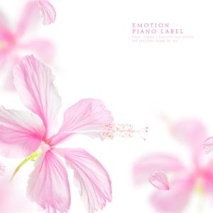 Album Romantic Piano Playing Love from Various Artists