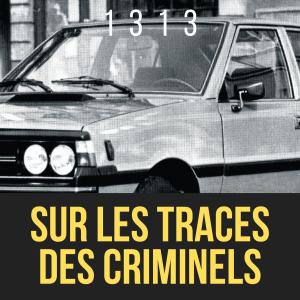 Listen to Sur Les Traces Des Criminels song with lyrics from 1313