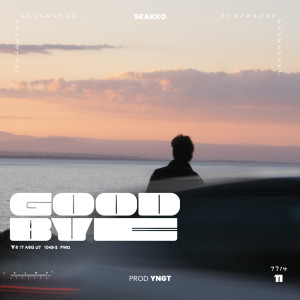 Listen to goodbye song with lyrics from Skakko