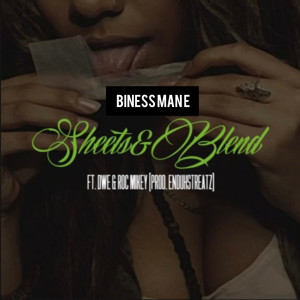 Listen to Sheets & Blend (Explicit) song with lyrics from Biness Man E