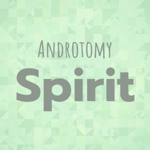 Listen to Gotta Contralto song with lyrics from Anique Tomy