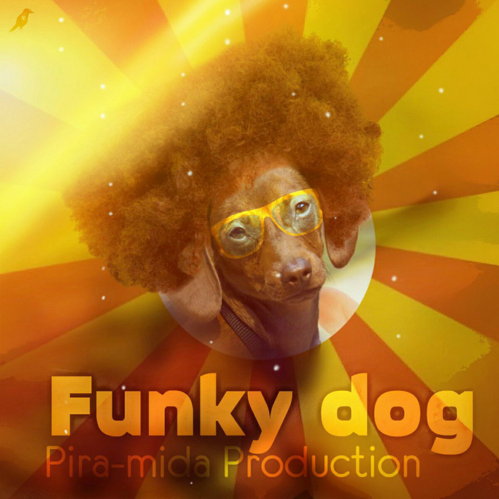 Funky Dog