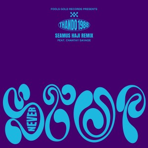 Thabani的專輯Never Stop (Seamus Haji Remix)