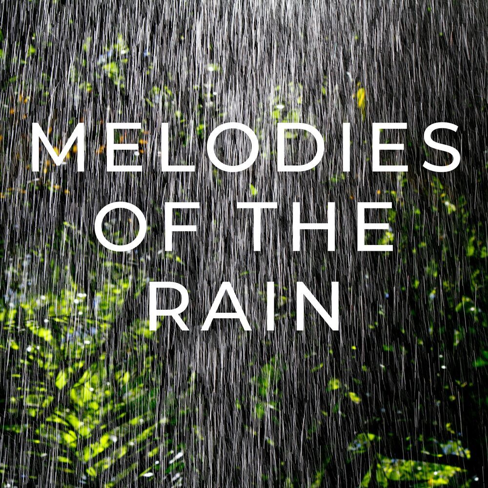 Rain's Serenade