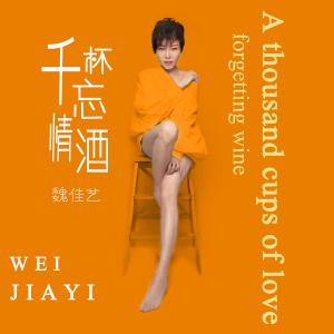 收聽魏佳藝的千杯忘情酒 (DJ小剛版)歌詞歌曲