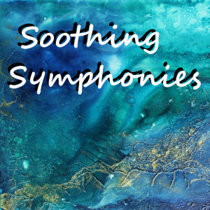 Listen to Symphony Concertante in D major, Kr 127: III song with lyrics from Belarus Belaja Orchestra