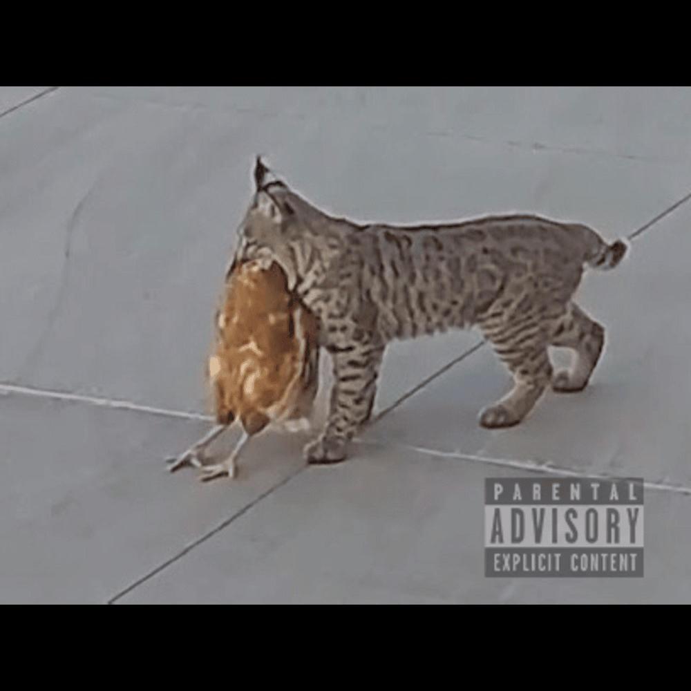 Bobcats (feat. Pfeezy) (Explicit)
