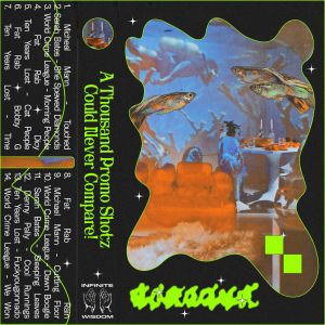 Various Artists的專輯A Thousand Promo Shotz Could Never Compare!