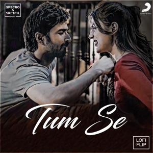 Album Tum Se (Lofi Flip) from Jubin Nautiyal