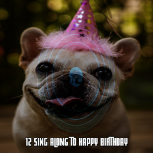 12 Sing Along To Happy Birthday