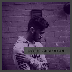 Album Let's See Why You Came from S.A.M