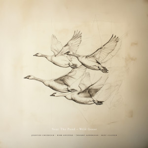 Josefine Cronholm的專輯Near The Pond - Wild Geese