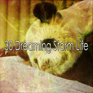ดาวน์โหลดและฟังเพลง Consistent Showers พร้อมเนื้อเพลงจาก Rain Sounds