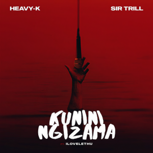 Listen to Kunini Ngizama song with lyrics from Heavy-K