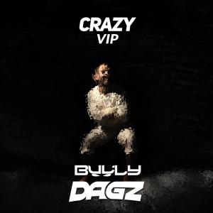 Bully的專輯Crazy (VIP)