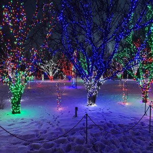 收聽Years of the Songs的Your the Best Christmas Present歌詞歌曲