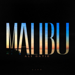收聽Ali Gatie的Malibu歌詞歌曲