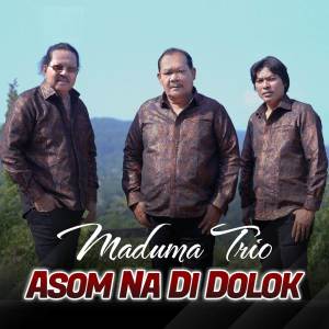 ดาวน์โหลดและฟังเพลง Asom Na Di Dolok พร้อมเนื้อเพลงจาก Trio Maduma