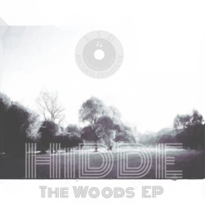ดาวน์โหลดและฟังเพลง The Woods พร้อมเนื้อเพลงจาก HiDDE