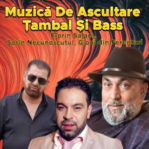 Album Muzică De Ascultare Țambal Și Bass from Florin Salam